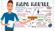 Mapa Mental Sistema Urin Rio Anatomia I