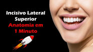 Anatomia Do Incisivo Lateral Superior Resumo De Anatomia Dental