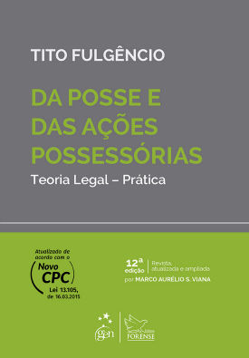 Ações possessórias código civil