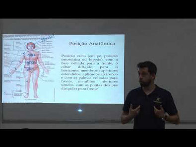 Aula de Anatomia - PCERJ - Técnico de Necropsia