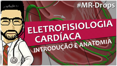 Sistema de condução elétrico (coração) - Eletrofisiologia - Nós, feixes e fibras (vídeo-aula resumo)