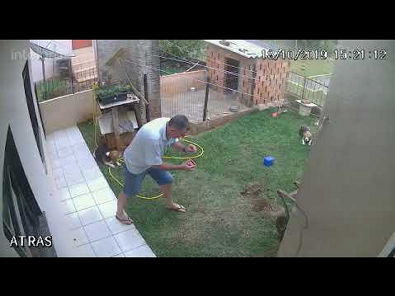 Homem tenta matar baratas e acaba explodindo o próprio quintal