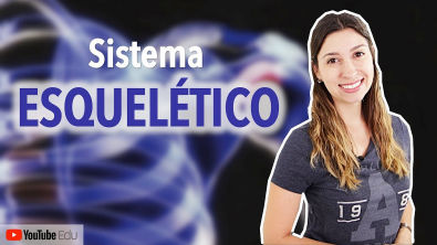 Sistema Esquelético 1 5 Introdução Anatomia E Etc Anatomia I