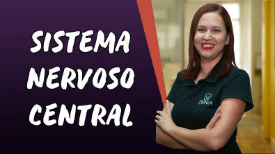 Sistema Nervoso Central - Brasil Escola