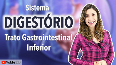 Sistema Digestório 35 Trato Gastrointestinal Inferior Intestino Delgado e Intestino Grosso