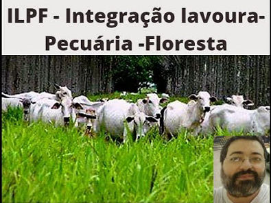 ILPF - Integração Lavoura-Pecuária-Floresta