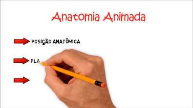 y2mate.com - 01 Posição Anatômica Planos Eixos Movimentos e Términos Anatômicos Anatomia Animada_1080p(1)