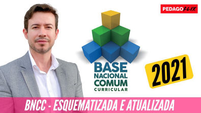 BNCC ESQUEMATIZADA E ATUALIZADA 2021 | BASE NACIONAL COMUM CURRICULAR