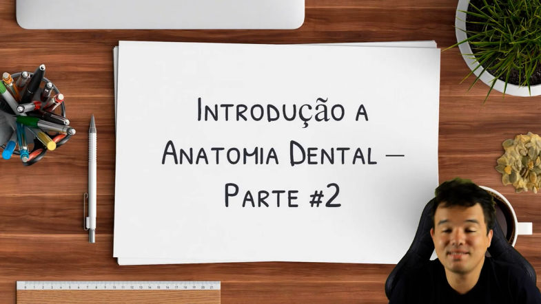 Numeração dos Dentes e Divisão em Terços - Introdução a Anatomia Dental Parte 2