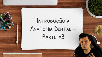 Estruturas dos Dentes - Cíngulo, Cúspide, Ponte de Esmalte e MAIS! Introdução a Anatomia Dental 3