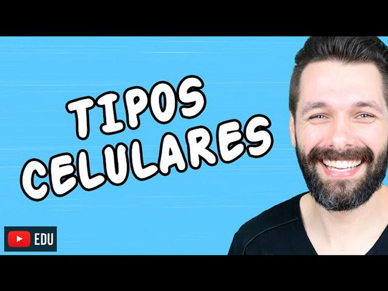 TIPOS DE CÉLULAS (Tipos Celulares) | Biologia com Samuel Cunha
