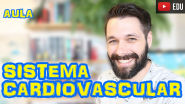 Sistema Circulatório Cardiovascular Sanguíneo Prof Samuel Cunha Anatomia I Sistema Circulatório Cardiovascular Sanguíneo Prof Samuel Cunha Anatomia I