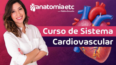 NOVIDADE! ANATOMIA e FISIOLOGIA do Sistema Cardiovascular Curso ONLINE!!