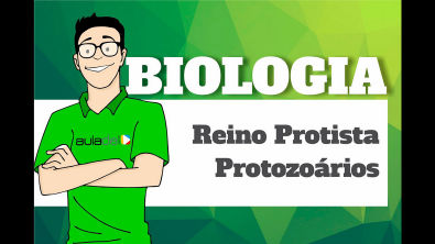 Biologia - Reino Protista Protozoários