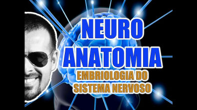 Vídeo Aula 069 - Neuroanatomia: Embriologia (origem) do Sistema Nervoso Central e Periférico