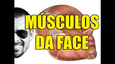 Anatomia Humana - Sistema Muscular - Músculos da Face: Mímica / Expressão Facial