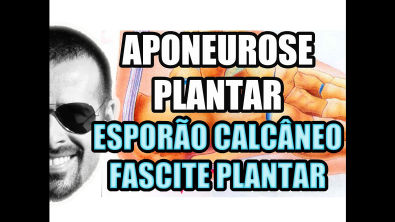 Vídeo Aula 113 - Anatomia Humana - Aponeurose ou Fáscia Plantar Esporão Calcâneo e Fascite Plantar