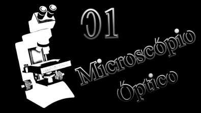 01- Microscópio óptico