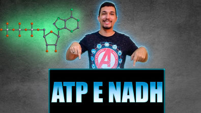 ATP e NADH | Respiração Celular
