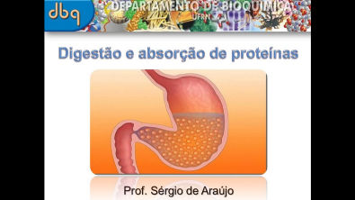 Curso de Bioquimica: Digestão e absorção de proteínas