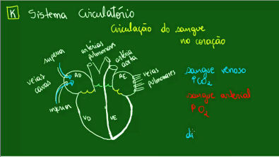 Sistema Circulatório - Circulação no coração - Fisiologia - Biologia