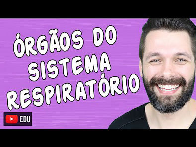 ÓRGÃOS DO SISTEMA RESPIRATÓRIO E SUAS FUNÇÕES | Biologia Com Samuel ...