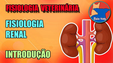 introdução à fisiologia renal - Fisiologia veterinária - Aula 1