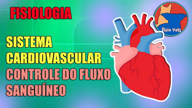 Sistema cardiovascular - Controle do fluxo sanguíneo - Fisiologia veterinária - Aula 3