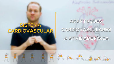 Adaptações cardiovasculares a atividade física
