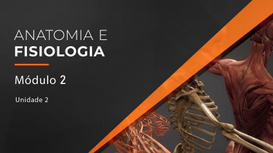 Anatomia e Fisiologia - Módulo 2 - Unidade 2