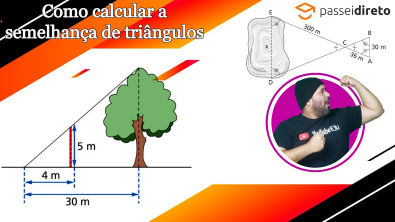 Determine a Altura da Árvore e Largura de um Lago Representada no Esquema cálculo matemática