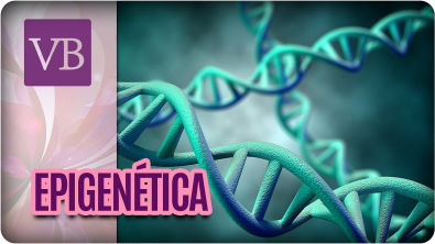 Epigenética O Que a Genética Determina? - Você Bonita (200917)