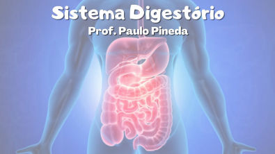 Fisiologia do Sistema Digestório