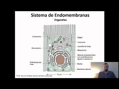 Aula 6 - Sistema de Endomembranas 1 (Organelas Celulares)