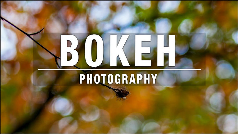 Bokeh Photography Efeito Bokeh em Fotografia