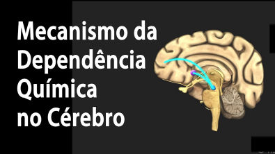 Mecanismo da Dependência Química no Cérebro Alila Medical Media Português