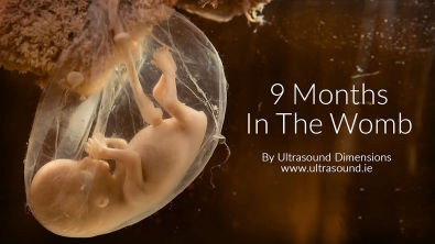 40 Weeks In The Womb by Ultrasound Dimensions
