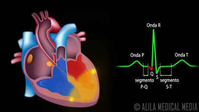 Sistema de Condução do Coração e ECG, Animação Alila Medical Media Português