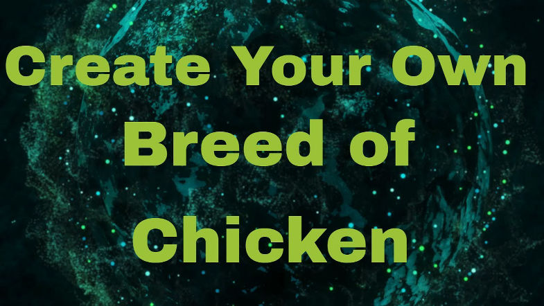 How to make your own Chicken Breed (Hybrid)