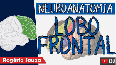 LOBO FRONTAL (Aula Nova) - Neuroanatomia funcional com Rogério Souza - Telencéfalo Córtex Cerebral