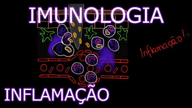Aula Imunologia - Inflamação | Imunologia 2