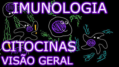 Aula Imunologia - Citocinas (13) - Visão Geral | Imunologia 9