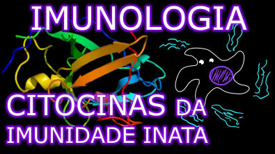 Aula Imunologia - Citocinas da Imunidade Inata (23) | Imunologia 10