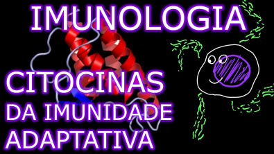 Aula Imunologia - Citocinas da Imunidade Adaptativa (33) | Imunologia 11