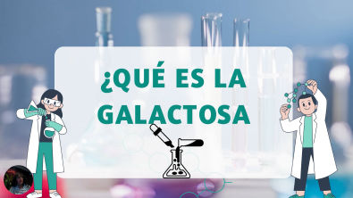 video galactosa