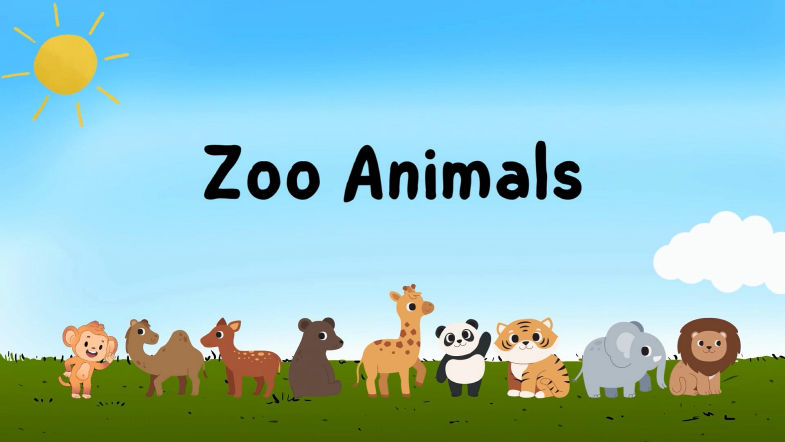 Nature Illustrated Zoo Animals Education Video (1)
