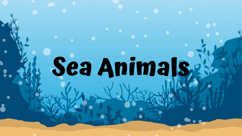 Blue Underwater Sea Animal Education Video