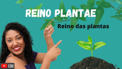 Aula Reino das Plantas (Plantae)