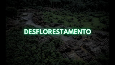 Desflorestamento - Seminário