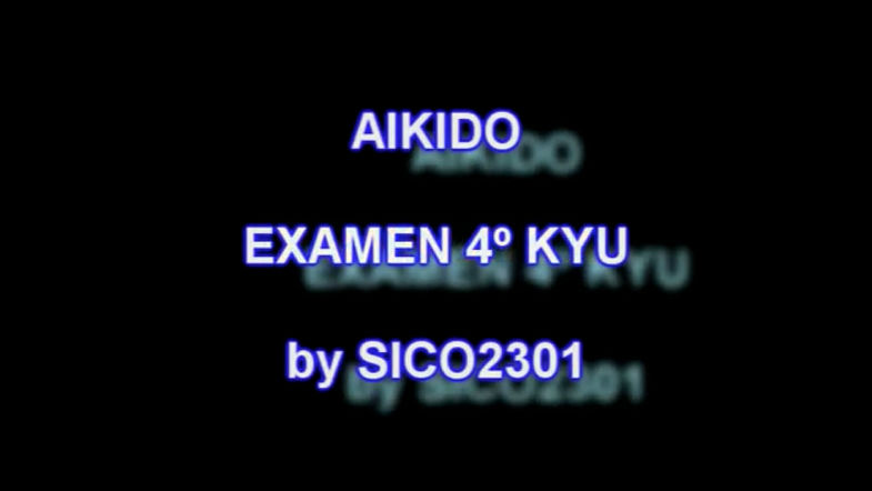 Aikido 3D 4 KYU 1 Parte
